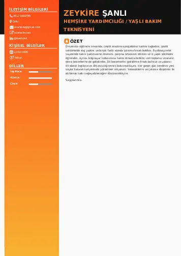 Hasta ve Yaşlı Bakım Elemanı Cv Örnekleri cv indir